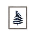 Picture of Blue Fern _GroupedProduct_Rectangle_Portrait_Framed_Matted_
