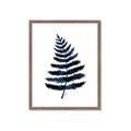 Picture of Blue Fern _GroupedProduct_Rectangle_Portrait_Framed_Matted_