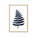 Picture of Blue Fern _GroupedProduct_Rectangle_Portrait_Framed_Matted_