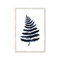 Picture of Blue Fern _GroupedProduct_Rectangle_Portrait_Framed_Matted_