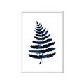 Picture of Blue Fern _GroupedProduct_Rectangle_Portrait_Framed_Matted_
