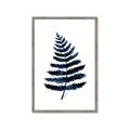 Picture of Blue Fern _GroupedProduct_Rectangle_Portrait_Framed_Matted_