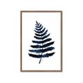 Picture of Blue Fern _GroupedProduct_Rectangle_Portrait_Framed_Matted_