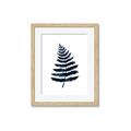 Picture of Blue Fern _GroupedProduct_Rectangle_Portrait_Framed_Matted_