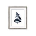 Picture of Blue Fern _GroupedProduct_Rectangle_Portrait_Framed_Matted_