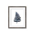 Picture of Blue Fern _GroupedProduct_Rectangle_Portrait_Framed_Matted_