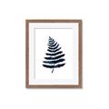Picture of Blue Fern _GroupedProduct_Rectangle_Portrait_Framed_Matted_