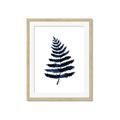 Picture of Blue Fern _GroupedProduct_Rectangle_Portrait_Framed_Matted_