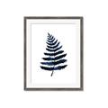Picture of Blue Fern _GroupedProduct_Rectangle_Portrait_Framed_Matted_
