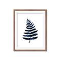 Picture of Blue Fern _GroupedProduct_Rectangle_Portrait_Framed_Matted_