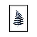 Picture of Blue Fern _GroupedProduct_Rectangle_Portrait_Framed_Matted_