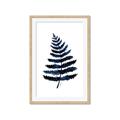 Picture of Blue Fern _GroupedProduct_Rectangle_Portrait_Framed_Matted_
