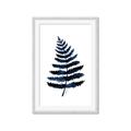 Picture of Blue Fern _GroupedProduct_Rectangle_Portrait_Framed_Matted_