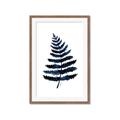 Picture of Blue Fern _GroupedProduct_Rectangle_Portrait_Framed_Matted_