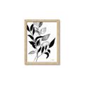Picture of Black Botanical _GroupedProduct_Rectangle_Portrait_Framed_Matted_