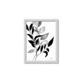 Picture of Black Botanical _GroupedProduct_Rectangle_Portrait_Framed_Matted_