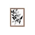 Picture of Black Botanical _GroupedProduct_Rectangle_Portrait_Framed_Matted_