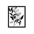 Picture of Black Botanical _GroupedProduct_Rectangle_Portrait_Framed_Matted_