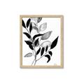 Picture of Black Botanical _GroupedProduct_Rectangle_Portrait_Framed_Matted_