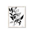 Picture of Black Botanical _GroupedProduct_Rectangle_Portrait_Framed_Matted_