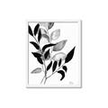 Picture of Black Botanical _GroupedProduct_Rectangle_Portrait_Framed_Matted_