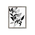 Picture of Black Botanical _GroupedProduct_Rectangle_Portrait_Framed_Matted_