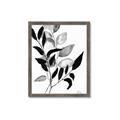 Picture of Black Botanical _GroupedProduct_Rectangle_Portrait_Framed_Matted_