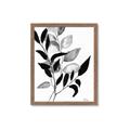 Picture of Black Botanical _GroupedProduct_Rectangle_Portrait_Framed_Matted_