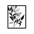 Picture of Black Botanical _GroupedProduct_Rectangle_Portrait_Framed_Matted_