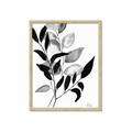 Picture of Black Botanical _GroupedProduct_Rectangle_Portrait_Framed_Matted_