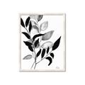 Picture of Black Botanical _GroupedProduct_Rectangle_Portrait_Framed_Matted_