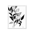 Picture of Black Botanical _GroupedProduct_Rectangle_Portrait_Framed_Matted_