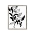 Picture of Black Botanical _GroupedProduct_Rectangle_Portrait_Framed_Matted_