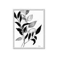 Picture of Black Botanical _GroupedProduct_Rectangle_Portrait_Framed_Matted_