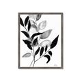 Picture of Black Botanical _GroupedProduct_Rectangle_Portrait_Framed_Matted_