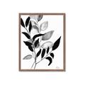 Picture of Black Botanical _GroupedProduct_Rectangle_Portrait_Framed_Matted_