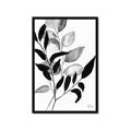 Picture of Black Botanical _GroupedProduct_Rectangle_Portrait_Framed_Matted_