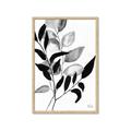 Picture of Black Botanical _GroupedProduct_Rectangle_Portrait_Framed_Matted_