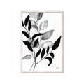 Picture of Black Botanical _GroupedProduct_Rectangle_Portrait_Framed_Matted_
