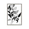 Picture of Black Botanical _GroupedProduct_Rectangle_Portrait_Framed_Matted_