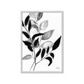 Picture of Black Botanical _GroupedProduct_Rectangle_Portrait_Framed_Matted_