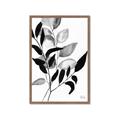 Picture of Black Botanical _GroupedProduct_Rectangle_Portrait_Framed_Matted_