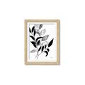 Picture of Black Botanical _GroupedProduct_Rectangle_Portrait_Framed_Matted_