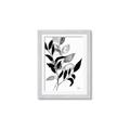 Picture of Black Botanical _GroupedProduct_Rectangle_Portrait_Framed_Matted_