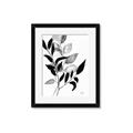 Picture of Black Botanical _GroupedProduct_Rectangle_Portrait_Framed_Matted_