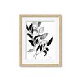 Picture of Black Botanical _GroupedProduct_Rectangle_Portrait_Framed_Matted_