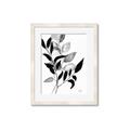 Picture of Black Botanical _GroupedProduct_Rectangle_Portrait_Framed_Matted_