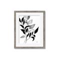 Picture of Black Botanical _GroupedProduct_Rectangle_Portrait_Framed_Matted_