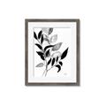 Picture of Black Botanical _GroupedProduct_Rectangle_Portrait_Framed_Matted_