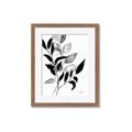 Picture of Black Botanical _GroupedProduct_Rectangle_Portrait_Framed_Matted_